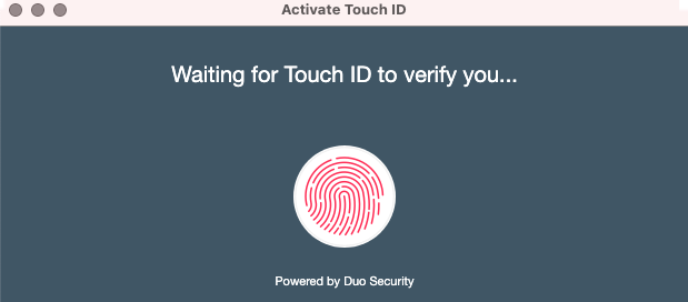 Activate Touch ID pop up Mac